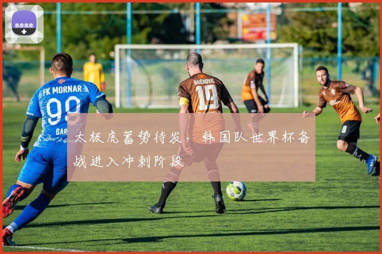 太极虎蓄势待发,韩国队世界杯备战进入冲刺阶段