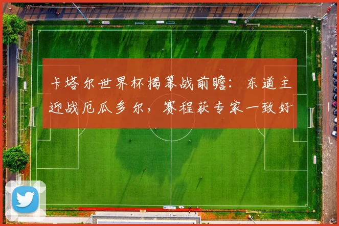 卡塔尔世界杯揭幕战前瞻:东道主迎战厄瓜多尔,赛程获专家一致好评