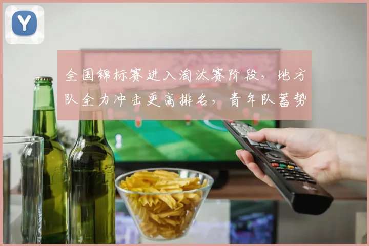 全国锦标赛进入淘汰赛阶段，地方队全力冲击更高排名，青年队蓄势待发盼反弹 - 2026世界杯