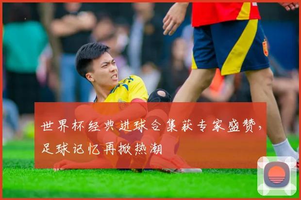 世界杯经典进球合集获专家盛赞,足球记忆再掀热潮