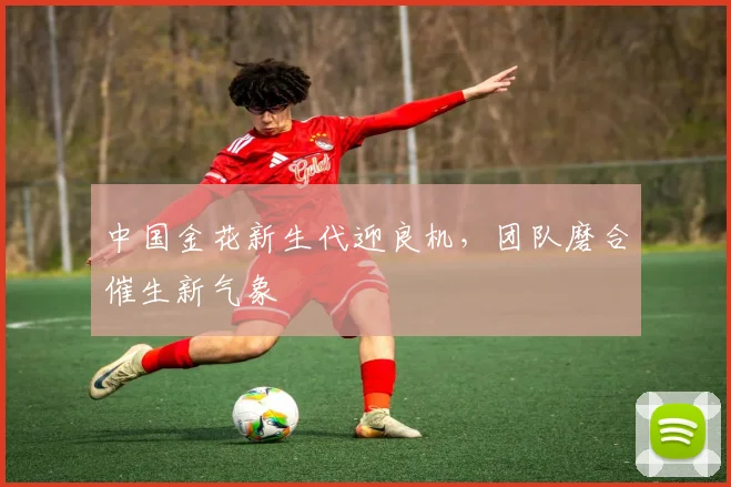 中国金花新生代迎良机，团队磨合催生新气象