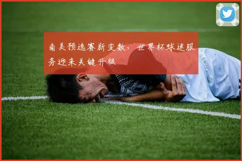 南美预选赛新变数，世界杯球迷服务迎来关键升级